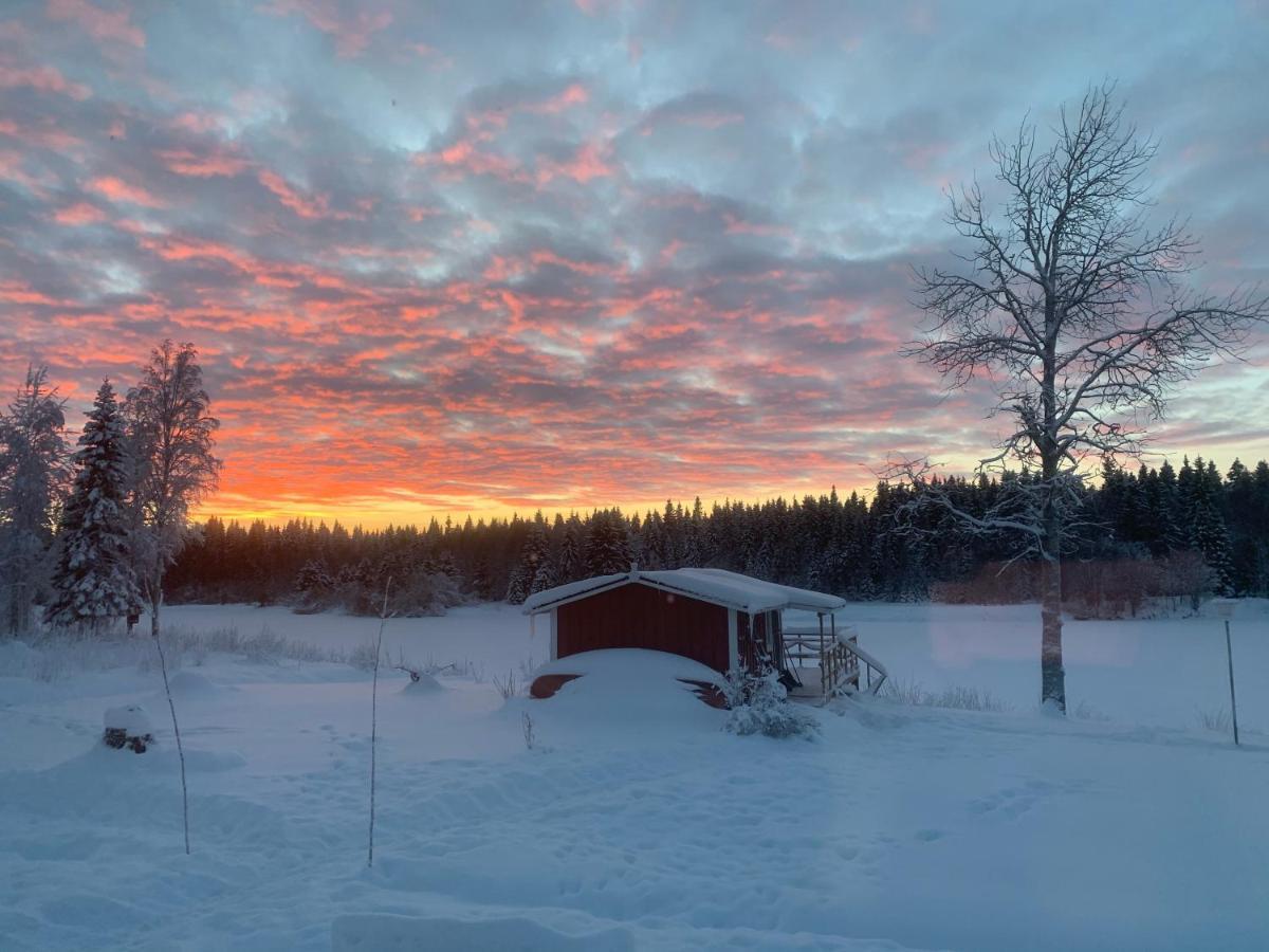 Villa Luxus Tiny House Saagala à Tornio Extérieur photo